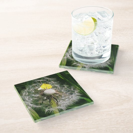 Niedlicher Löwenzahn Glasuntersetzer (Schrägansicht)