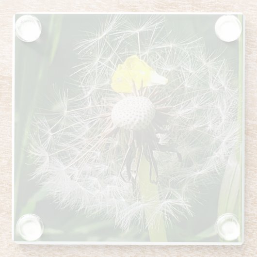 Niedlicher Löwenzahn Glasuntersetzer (Rückseite)