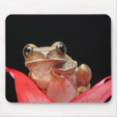 Niedlicher, lustiger Frosch, der auf Lilie - Mousepad (Vorne)