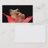 Niedlicher, lustiger Frosch in der Visitenkarte (Vorne/Hinten)