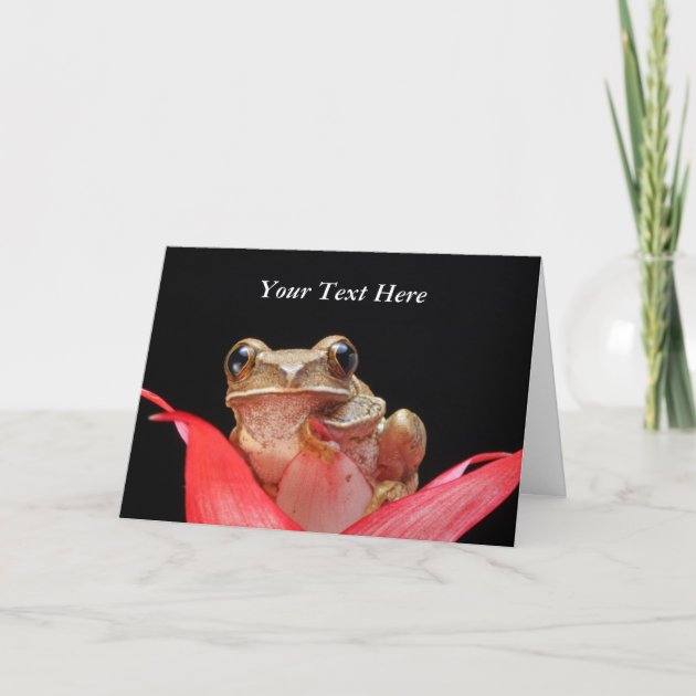 Glückwunschkarte Grußkarte Geburtstagskarte Geburtstag Glückwünsche Frosch NOS 
