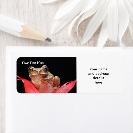 Niedlicher, lustiger Frosch in Lily RAL-Vorlage (Insitu)