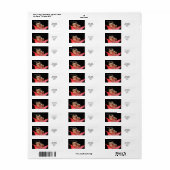 Niedlicher, lustiger Frosch in Lily RAL-Vorlage (Vorne)