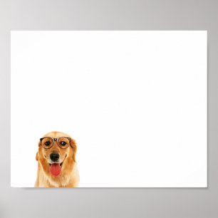 Niedlicher lustiger Golden Retriever Poster