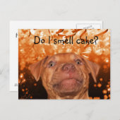 Niedlicher lustiger Hundegeburt Postkarte (Vorne/Hinten)