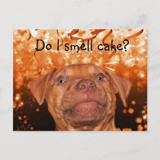 Niedlicher lustiger Hundegeburt Postkarte (Vorderseite)