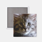 Niedlicher Maine Coon Kitten Face-Magnet Magnet (Vorderseite/Rückseite)
