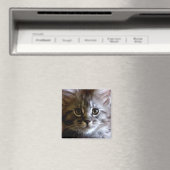 Niedlicher Maine Coon Kitten Face-Magnet Magnet (In Situ (Geschirrspüler))