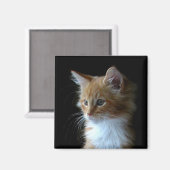 Niedlicher Maine Coon Kitten-Magnet Magnet (Vorderseite/Rückseite)