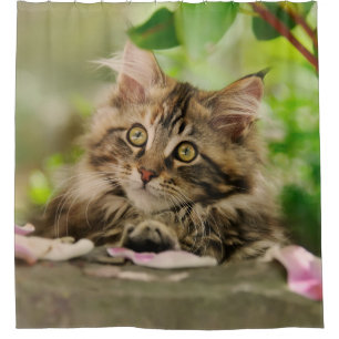 Niedlicher Maine-Waschbärkatzen-Kätzchen Duschvorhang