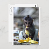 Niedlicher Makahahn mit Banane Postkarte (Vorne/Hinten)