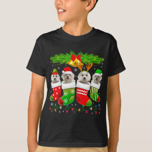Niedlicher maltesischer Hund in Socken Weihnachten T-Shirt