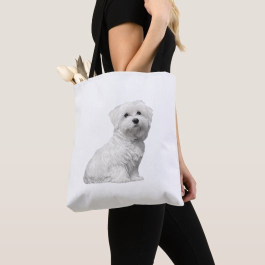 Niedlicher maltesischer Hund sitzender Welpe Tasche (Von Nahem)