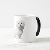 Niedlicher maltesischer Hund sitzender Welpe Verwandlungstasse (VorderseiteRechts)