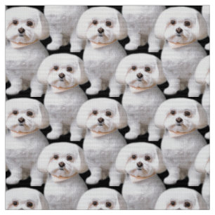Niedlicher maltesischer Hund Stoff