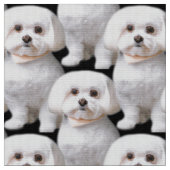 Niedlicher maltesischer Hund Stoff (Nahaufnahme)