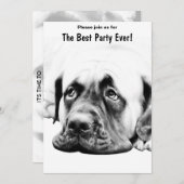 Niedlicher Mastixhund Einladung (Vorne/Hinten)