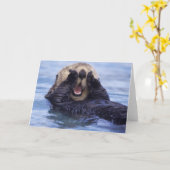 Niedlicher Meeresrauscher| Alaska, USA Karte (Gelbe Blume)