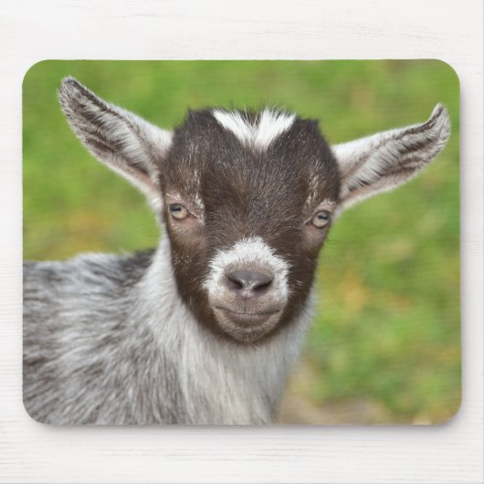 Niedlicher Mini-Zwerg-Ziegenziege-Kid-Maus-Pad Mousepad (Vorne)