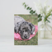 Niedlicher Mischling-Welpe Postkarte (Stehend Vorderseite)