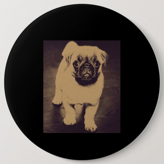 Niedlicher Mops Dog Portrait Button (Vorderseite)