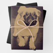 Niedlicher Mops Dog Portrait Geschenkpapier Set (Beispiel)