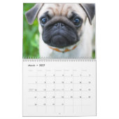 Niedlicher Mops-Hundekalender - kundengerecht Kalender (Mär 2027)