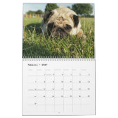 Niedlicher Mops-Hundekalender - kundengerecht Kalender (Feb 2027)