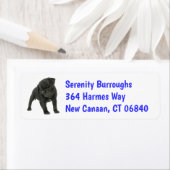 Niedlicher Mops Mama Welpen Hund Vater Mama Möpsen (Insitu)