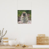 Niedlicher Mops Nah-Up-Poster Poster (Küche)