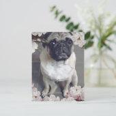 Niedlicher Mops Postkarte (Stehend Vorderseite)