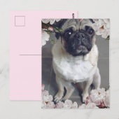 Niedlicher Mops Postkarte (Vorne/Hinten)