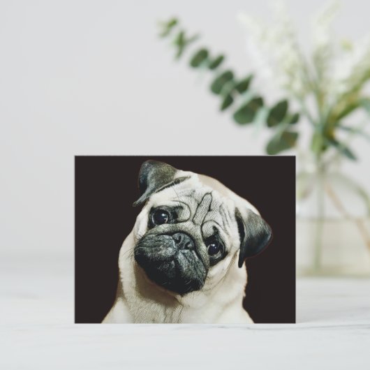 Niedlicher Mops Postkarte (Stehend Vorderseite)