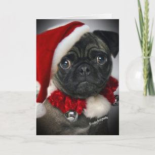 Niedlicher Mops Santa Cards Feiertagskarte