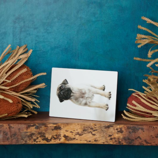 Niedlicher Mops Welpe Fotoplatte (Seite)