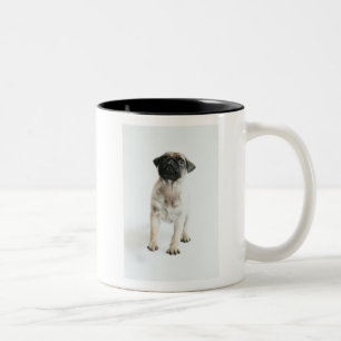 Niedlicher Mops-Welpe Zweifarbige Tasse