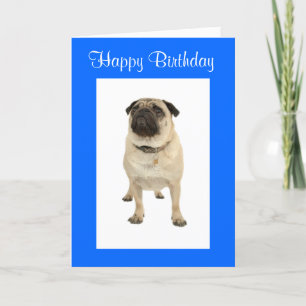 Niedlicher Mops Welpen Hund Happy Birthday Grußkar Karte