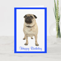 Niedlicher Mops Welpen Hund Happy Birthday Grußkar