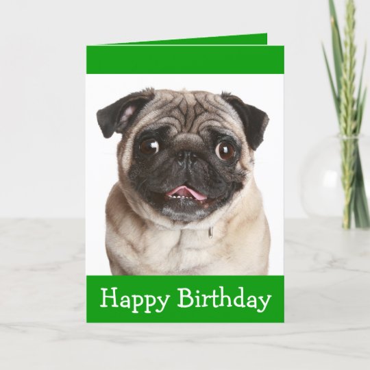 Niedlicher Mops Welpen Hund Hund Zum Geburtstag Gr Karte Zazzle De