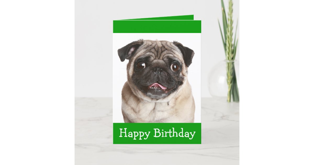 Niedlicher Mops Welpen Hund Hund zum Geburtstag Gr Karte Zazzle.de