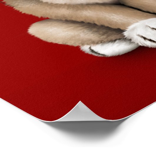 Niedlicher Mops Welpenhund mit Leseglasche, rot Poster (Ecke)