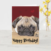 Niedlicher Mops Welppy Birthday Wish Karte (Gelbe Blume)