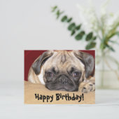 Niedlicher Mops Welppy Birthday Wish Postkarte (Stehend Vorderseite)