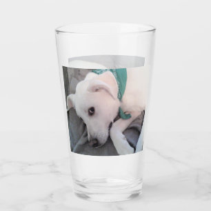 Niedlicher, müde weißer Hund mit grünem Scarf Glas