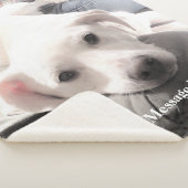 Niedlicher, müde weißer Labrador Mix Hund mit Vate Sherpadecke (3/4)