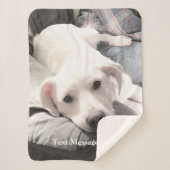 Niedlicher, müde weißer Labrador Mix Hund mit Vate Sherpadecke (Vorderseite)