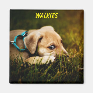 Niedlicher Naher Welpenhund Magnet