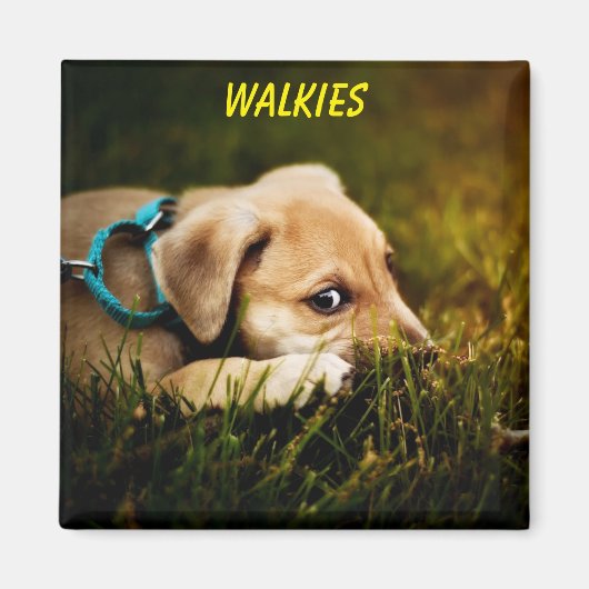 Niedlicher Naher Welpenhund Magnet (Vorne)