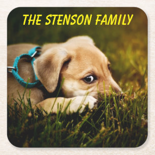 Niedlicher Naher Welpenhund Rechteckiger Pappuntersetzer