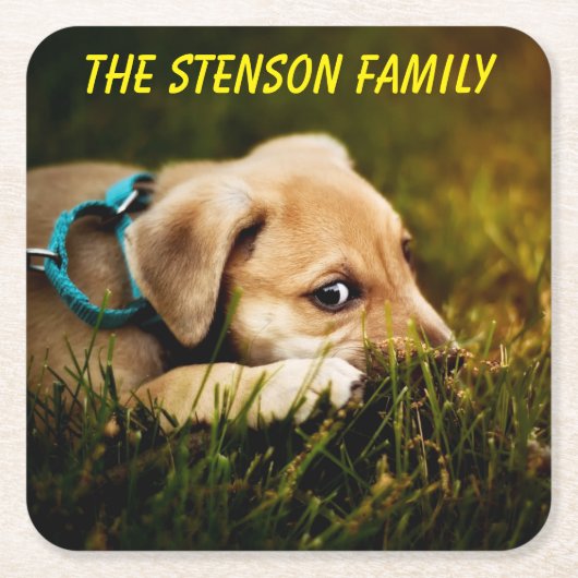 Niedlicher Naher Welpenhund Rechteckiger Pappuntersetzer (Vorderseite)